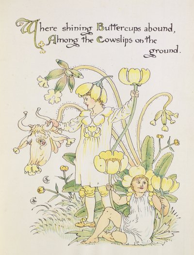 De boterbloem en de sleutelbloem uit 